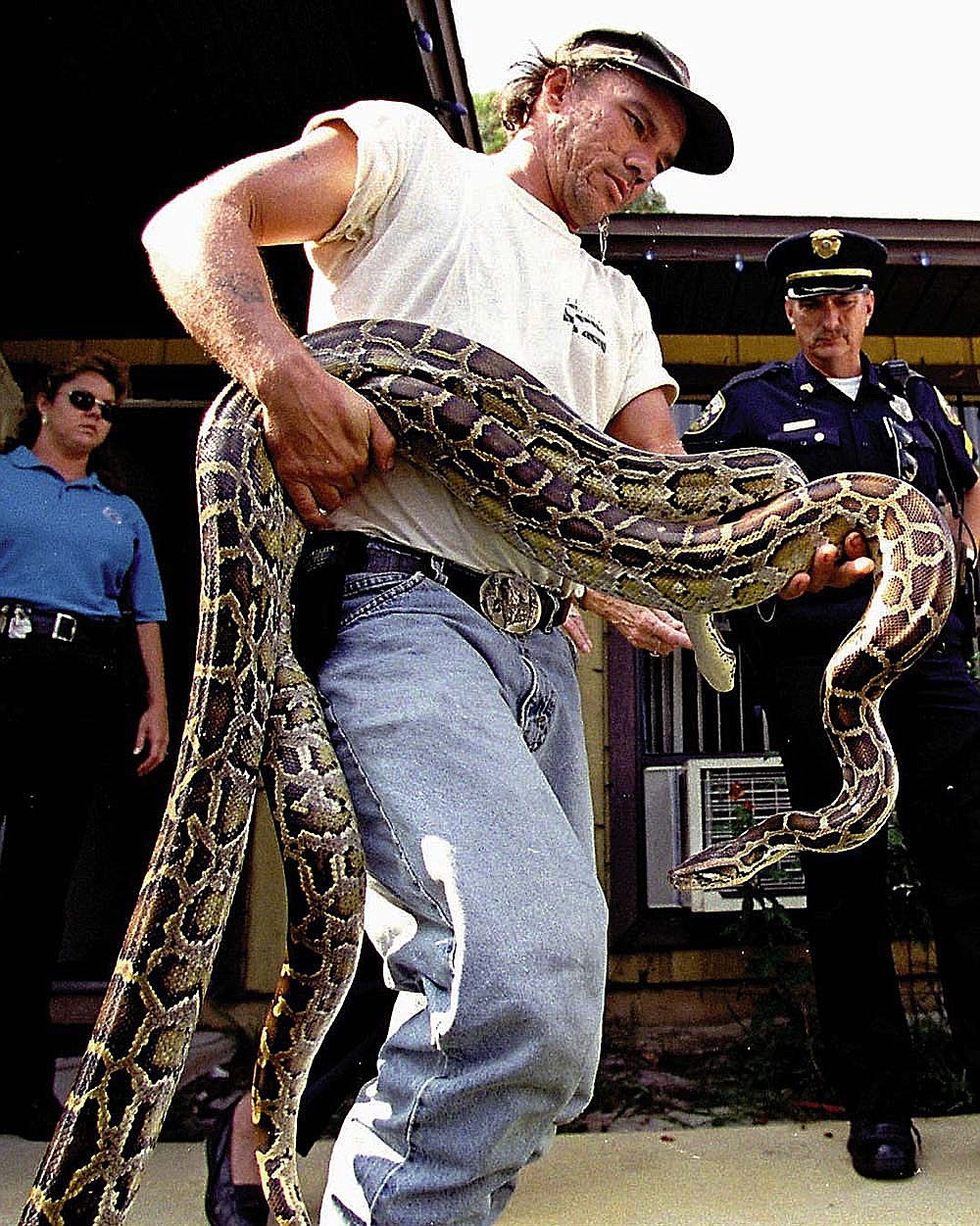 Snake whisperer wrangles python from lake | Northwest Arkansas Democrat ...
