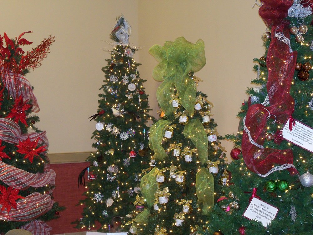 10 Best Christmas Light Displays in Arkansas The Arkansas Democrat