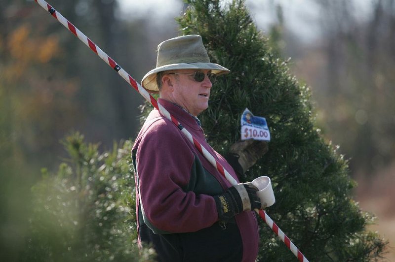 Arkansas Democrat-Gazette/RYAN MCGEENEY --12-09-11-- Morgan Howard of Clarksville picks out a "Charlie Brown" tree Saturday morning at Christmas Tree Lane in Etna, a small community south of Ozark. A tornado destroyed a significant percentage of the farm's trees earlier in 2011. "Charlie Brown" trees are trees the Lane family sells at a reduced price due to damage or homeliness.