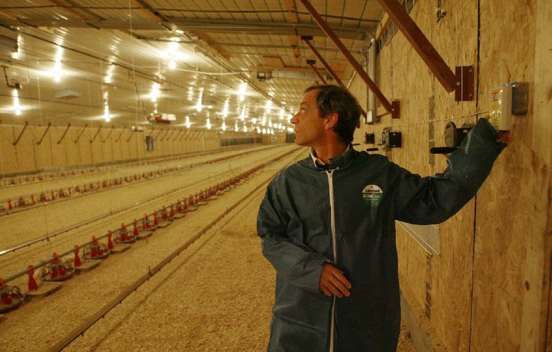 Jeffrey A. Beaver, a partner in NextGen Illumination Inc., a light-emitting diode technology design firm, is shown dimming poultry house lights in a barn near Tontitown on Thursday. 