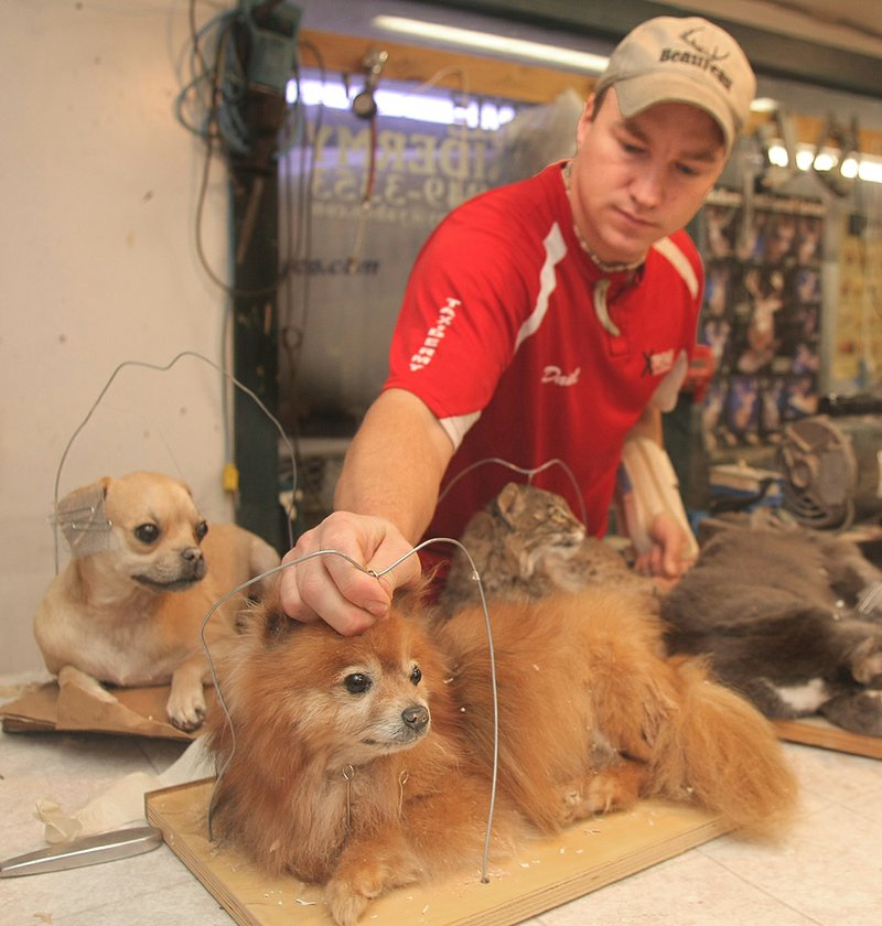 Arkansan turns taxidermy work into starring role