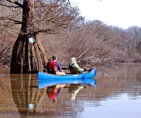 Elaine and Steve Cattaneo paddle their canoe near a tree with a sign marking the water trail on Wattensaw Bayou.