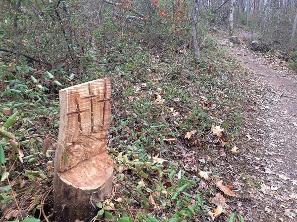 A stump where a tree was cut down by Fayetteville City workers has three crosses cut into it in the the Lake Fayetteville Trail. Gary Kilpatrick, a parks maintenance worker who has worked for the city 19 years, said he never thought people could have a concern with the small crosses he sometimes etches with the tip of a chain saw — usually on tree stumps he leaves behind in his work for the city.

