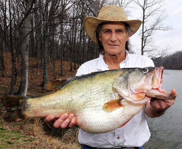 State Bass Record Broken Northwest Arkansas Democrat Gazette