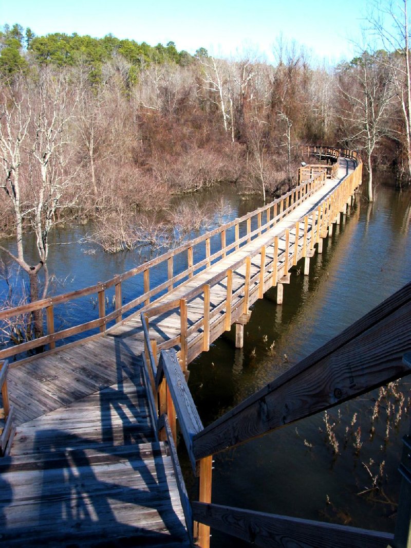 Kids will love the long elevated walkway on the LOViT Watchable Wildlife Trail. 