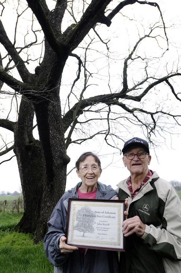 Julius and Irene Russell’s black walnut tree was awarded a Champion Tree Certificate in February by the state. The tree is one of two champions growing on the Russells’ property along Scoggins Road in southwest Bentonville. The black walnut is 93 feet tall and measures 191 inches in circumference near its base.