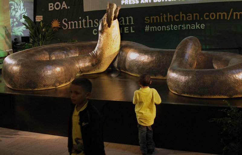 A full-scale replica of the pre-historic snake "Titanoboa" swallowing a crocodile, is previewed on Friday, March 23, 2012, at Grand Central Station in New York, during a promotion for its exhibition at the Smithsonian’s National Museum of Natural History in Washington, D.C.. 