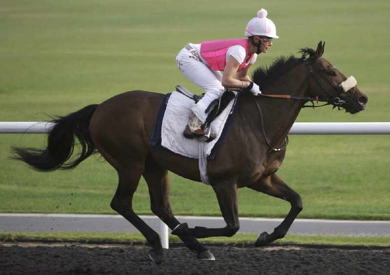 Chantal Sutherland will be the first woman to ride in the $10 million Dubai World Cup today when she rides Game On Dude. 