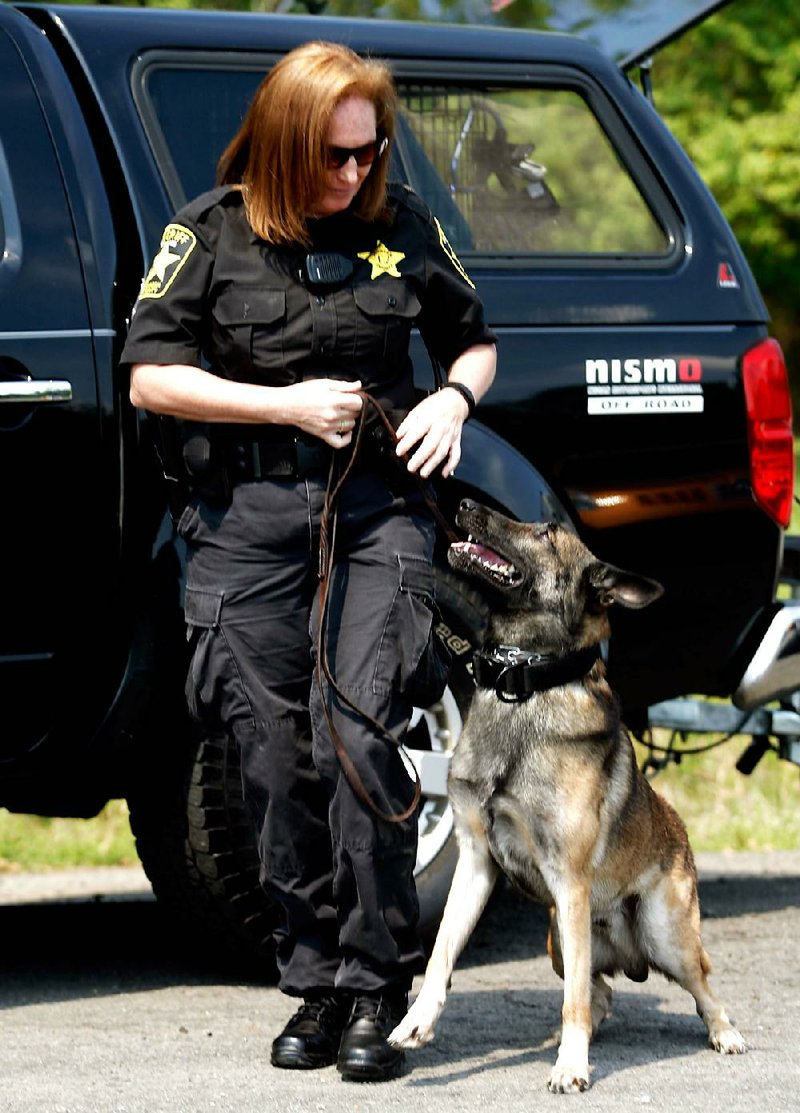 Arkansas Democrat-Gazette/JASON IVESTER --03/28/12--
Deputy Linda George takes Egan, a four-year-old Malinois, through a training exercise at the Johnson County Sheriff's Office in Clarksville on Wednesday, March 28, 2012. The pair are part of the part-time volunteer K9 company with the department.