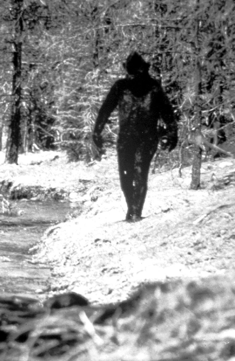 This grainy 1971 photo allegedly shows the legendary Smokey Joe strolling along the Buffalo River at Boy Scout Camp Orr near Jasper. 