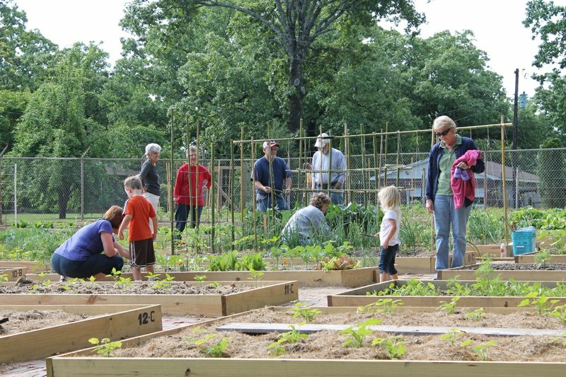 The Avilla Zion Community Garden in Saline County has 60 raised beds that are used by 39 families and 139 students at Avilla Christian Academy. Food from the garden is also collected for the Zion Evangelical Lutheran Church, located across the street.