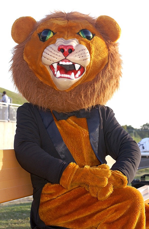 Leo the Lion, Gravette’s mascot played by Sayer Smith, was dressed for the occasion at last fall's homecoming celebration in Gravette. Smith's experience as Leo the Lion opened up an opportunity for him to work as Strike, mascot for the Arkansas Naturals.