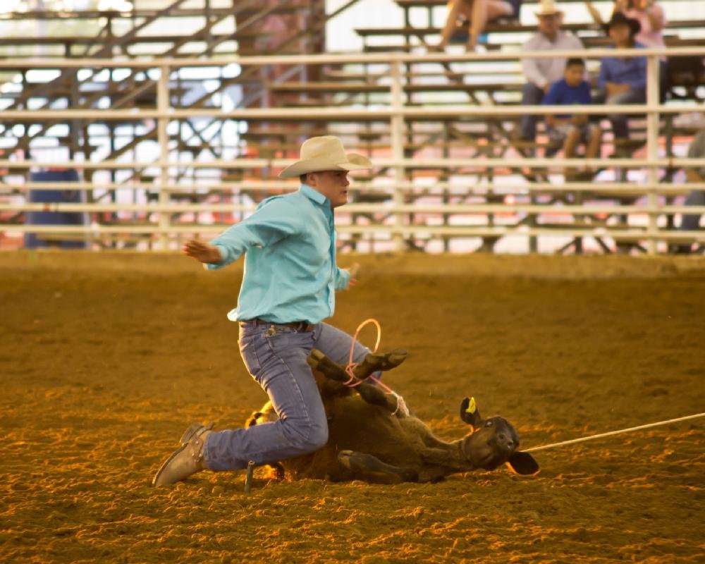 Arkansas High School Rodeo Association Finals Rodeo The Arkansas