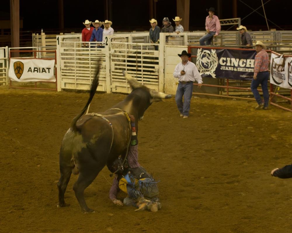 Arkansas High School Rodeo Association Finals Rodeo The Arkansas