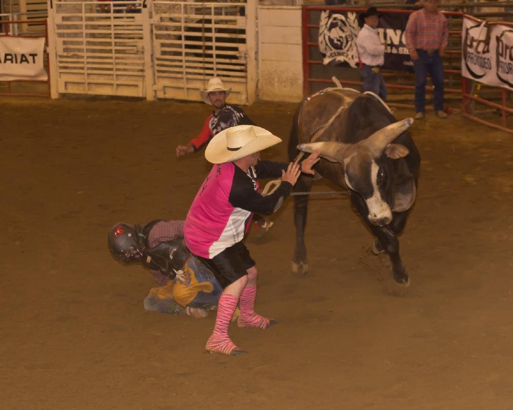Arkansas High School Rodeo Association Finals Rodeo The Arkansas