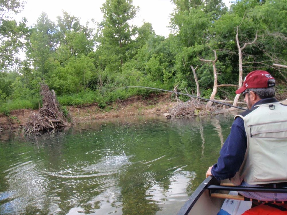 Smallmouth bass put up an incredible fight.