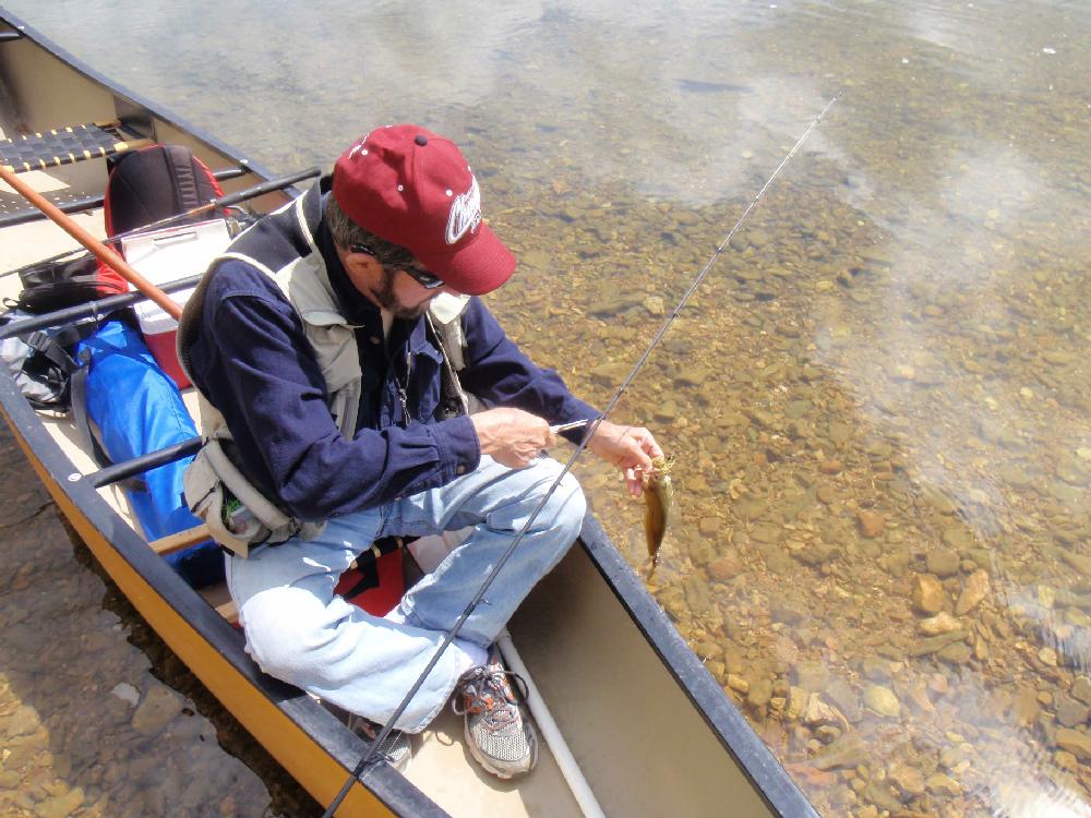 Tonkinson releases one of 40 to 50 fish caught during the 7-mile float on the Elk River.