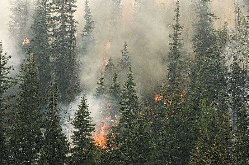Fire rages in Huntington Canyon near Stuart Guard Station at the Manti-La Sal National Forest in Utah, Wednesday, June 27, 2012. At least five wildfires burned across Utah on Wednesday, taxing resources as firefighters worked feverishly to gain control, with one in the central part of the state continuing to burn with little containment after destroying at least 56 structures, authorities said. (AP Photo/The Salt Lake Tribune, Paul Fraughton)