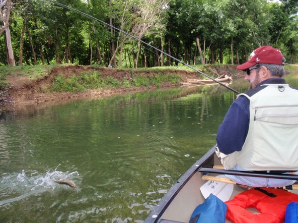 Russ Tonkinson of Rogers found the smallmouth bass in a jumping mood during a low-water float trip down Missouri’s Elk River on May 11. The trip from Big Elk Camp to Shady Beach required walking the canoe over some shallow areas, but the fishing was steady.
BASS ATTACK