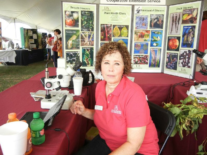 Sherrie Smith, the University of Arkansas Division of Agriculture’s plant diagnostic instructor for family and consumer science in Phillips County, mans a booth at the 2011 Rice Expo. 