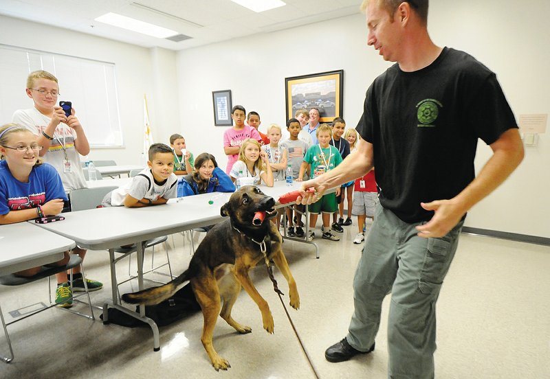 Deputy James Chamberlin rewards Hugo, a 4-year-old Belgian malinois, with his toy Wednesday after finding a stash of marijuana during a demonstration for Junior Police Academy students at the Benton County Sheriff's Office in Bentonville. More than 40 kids ages 8 to 12 are participating in the academy about law enforcement.