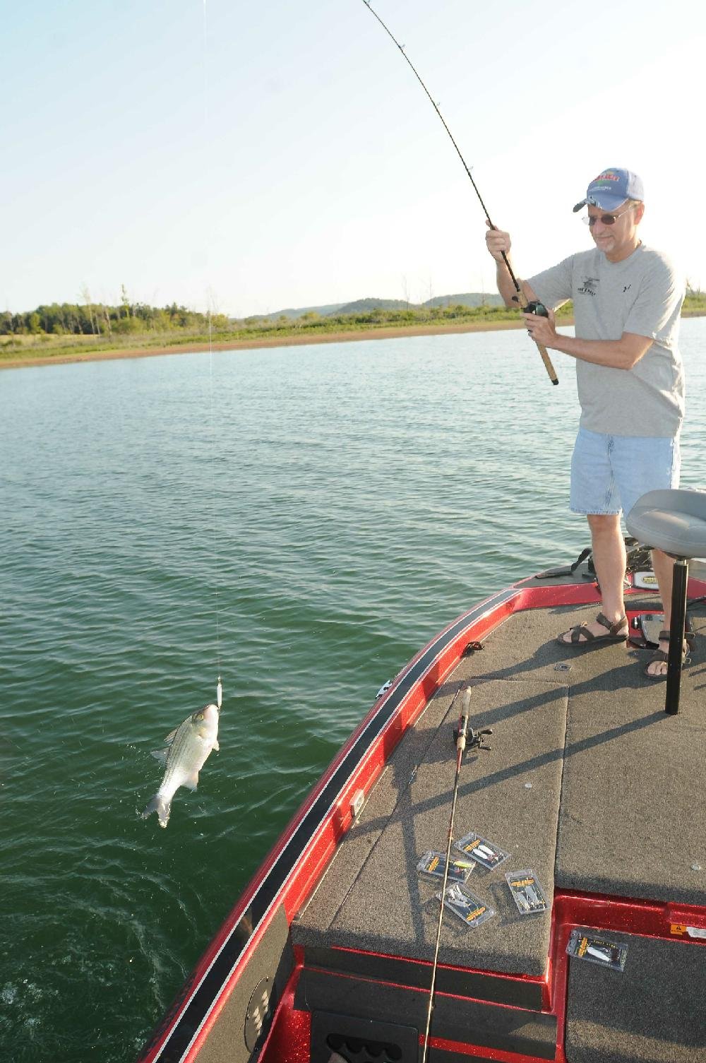 Jump fishing' a sure way to enjoy summer white bass  The Arkansas  Democrat-Gazette - Arkansas' Best News Source