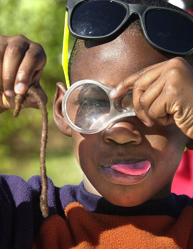 Toby Martin, a first-grader at Texarkana’s Kilpatrick Math, Science and Wellness Magnet Elementary, inspects one of the worms that will end up being lunch after it’s cleaned and fried. 