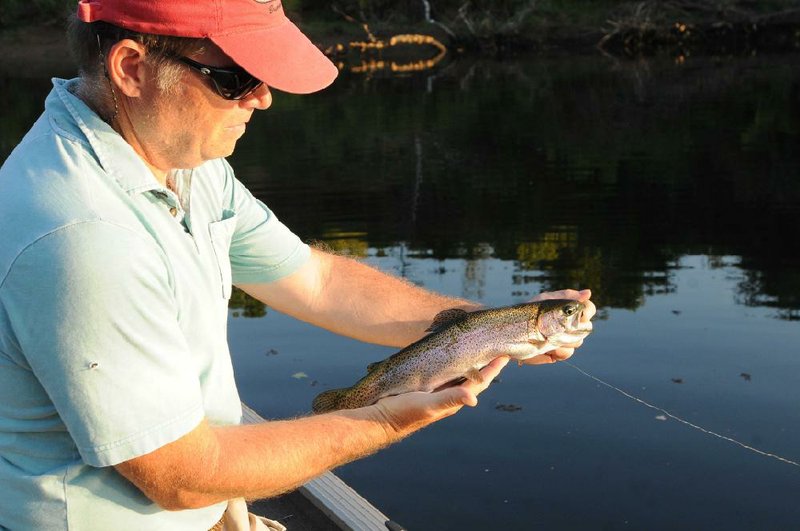 In this file photo a fisherman admires a rainbow trout that bit on a midge.