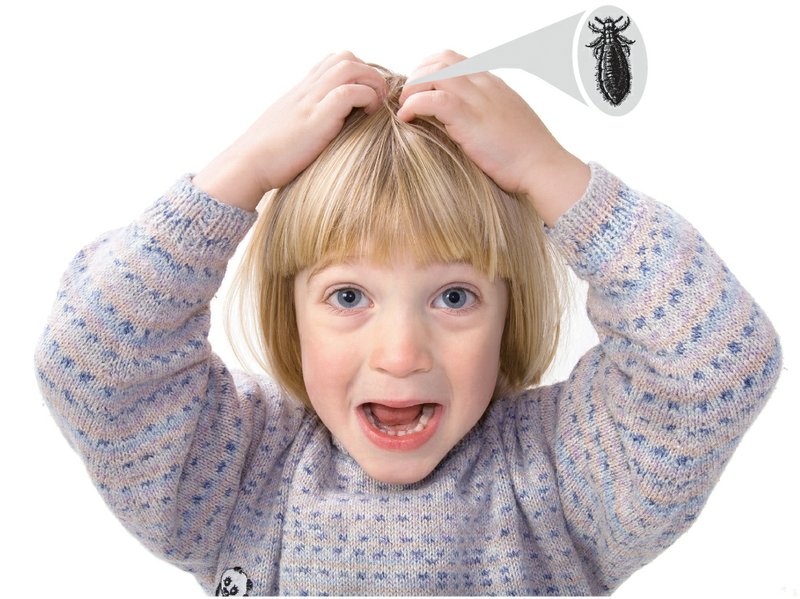 Symptoms of head lice include a rash around the nape of the neck and constant itching and scratching. According to the Centers for Disease Control and Prevention, an estimated 6 million to 12 million children each year, ages 3 to 11, will become infested with head lice.