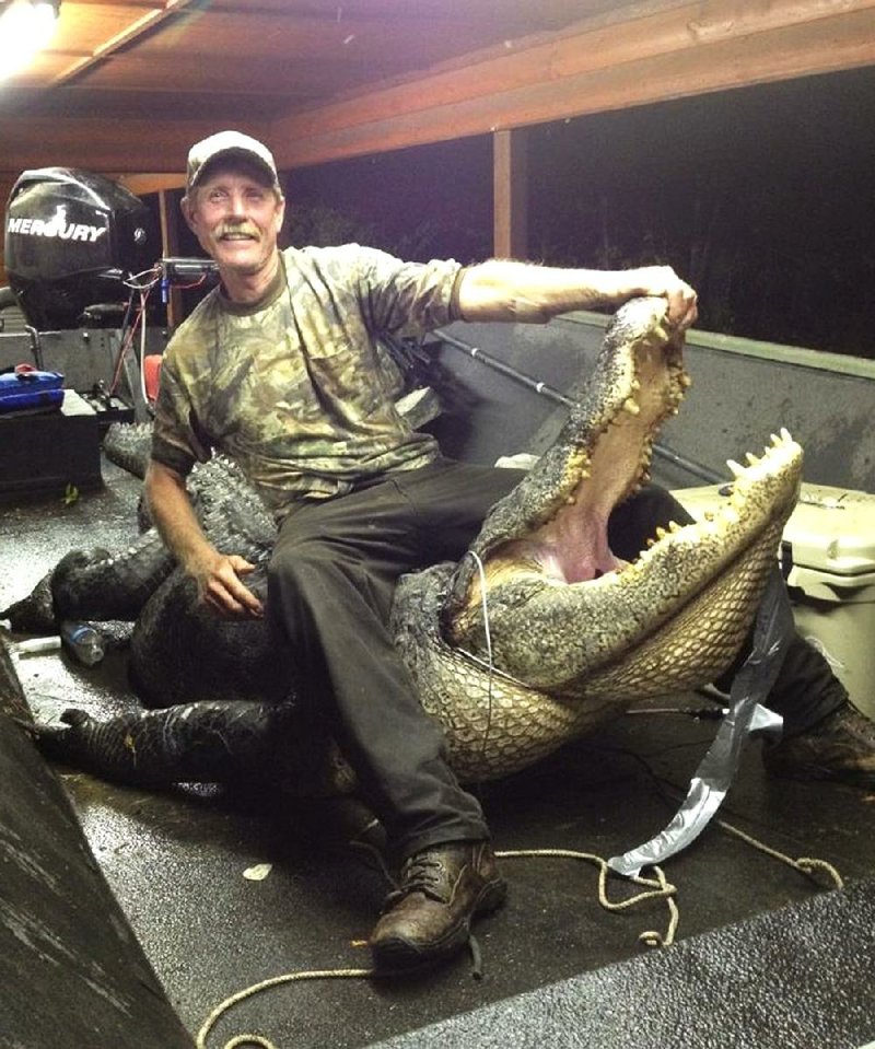 Mike Cottingham killed the biggest alligator taken in Arkansas with this 13-foot, 3-inch giant he killed Sept. 14 in Hempstead County. The gator weighed 1,380 pounds, and Cottinham said the head alone weighed nearly 300 pounds. 