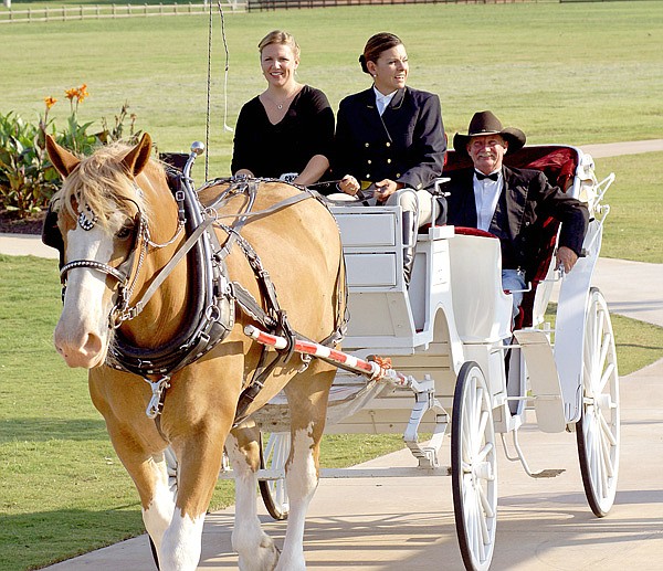 Lori Whillock is pictured with her carriage, pulled by Champ. Passengers Jessica Ray and Tim Wallis are working as drivers for Whillock’s new business, Executive Carriages.