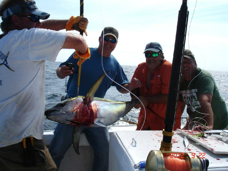 Landing a 64-pound tuna was a group effort. Brian Joseph (left) gaffed the fish as the author hoisted the tail. Todd Hyton (second from left) took a turn on the rod as well. 