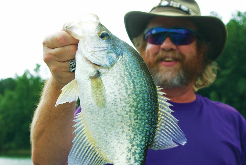 Fall has trips, tales of these panfish on my mind  The Arkansas  Democrat-Gazette - Arkansas' Best News Source