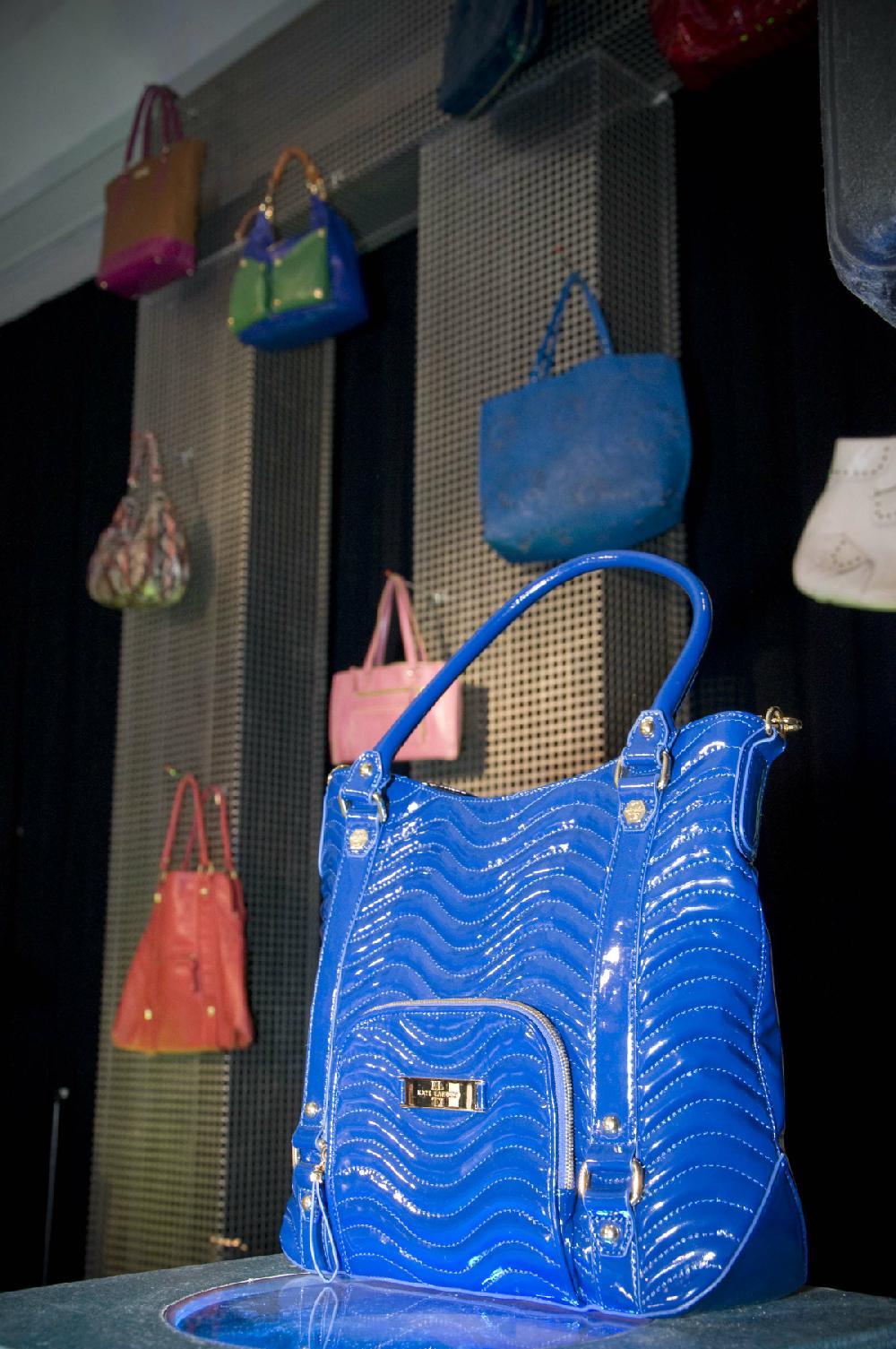 ARKANSAS DEMOCRAT-GAZETTE/Cary Jenkins
Power of the Purse stage set