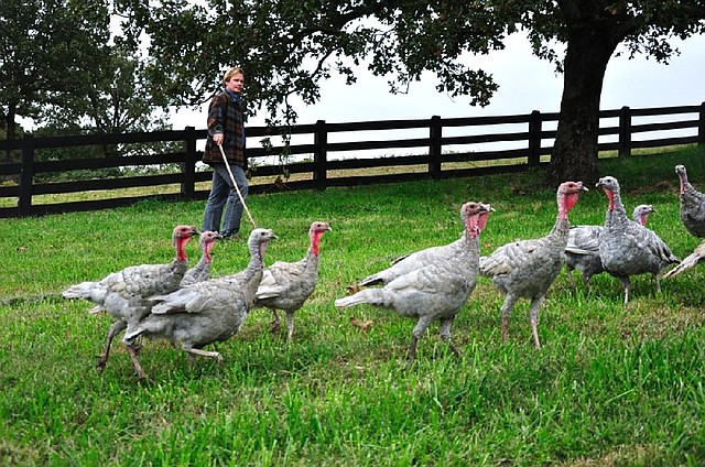 Writer and television host P. Allen Smith works with Blue Slate heritage turkeys at his Moss Mountain Farm outside of Little Rock in early November. 