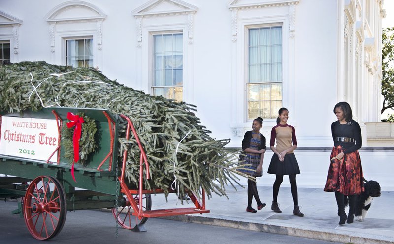 First lady Michelle Obama with daughters Sasha, left, and Malia welcome the arrival of the official White House Christmas tree, a 19-foot Fraser Fir from Jefferson, N.C., at the North Portico of the White House in Washington, Friday, Nov. 23, 2012.