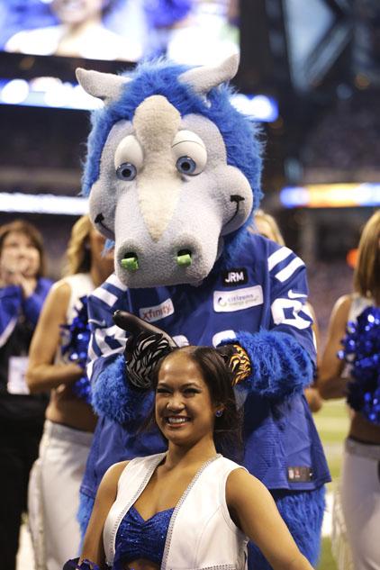 Colts mascot Blue shaved the heads of two Colts cheerleaders during the 4th  quarter on Sunday, November 25, 2012, in Indianapolis, Indiana. The money  raised, over $20,000, will go to Leukemia research