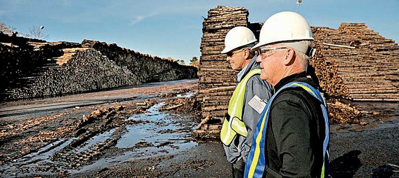 James Kent, left, business comptroller at the UPM BLandin Paper Mill, and Wayne Brandt of Minnesota Forest Industries examine stacks of logs waiting to be chipped at the outset of the papermaking process. 
