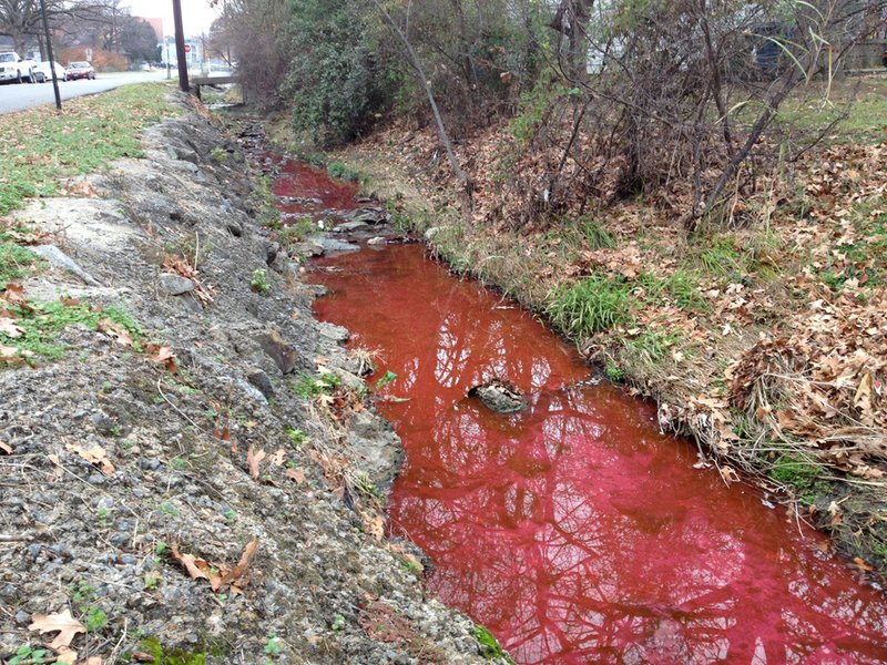 The water in Plateau Ditch is red due to a leak, the City of Little Rock said in a news release. The color was caused by a dye added to the UAMS hot water circulation system and is not toxic or harmful. This photo was taken at Plateau and Oak Streets. 