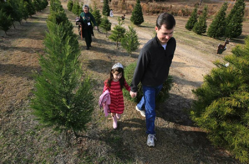 Carey Smith and his daughter, Emmy Smith, 4, of Little Rock pull a Christmas tree toward their car at Motley’s Christmas Tree Farm in Little Rock, with Carey Smith’s mother, Judy Parker of Malvern, following. 