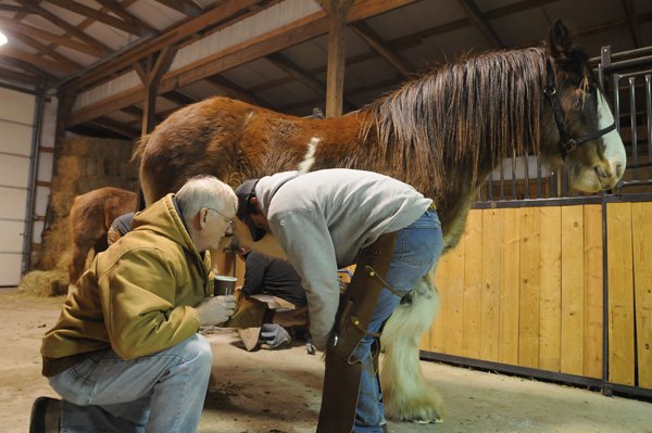 John Werner, an instructor, watches Thursday as student Matt Hunnicutt of Berryville works on cleaning the hoof of a Clydesdale horse during a farrier’s class at the Wildcat Horse Center in Springdale. The class is one of Northwest Technical Institute’s longest-running community education classes. 