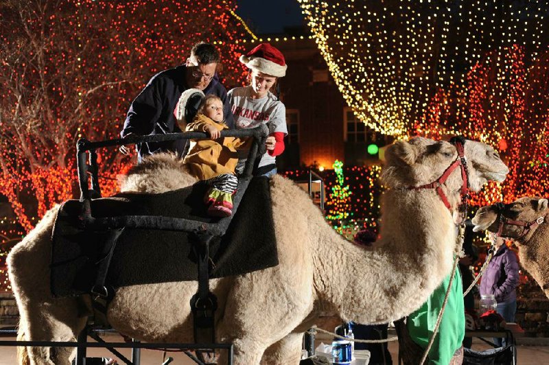 Carl Walter, left, helps 2-year-old Anna Kate Davis onto a camel named Charlie as Anna's mother, Ashley Davis of Fayetteville, watches before going for a ride Wednesday, Dec. 19, 2012, on the square in Fayetteville.