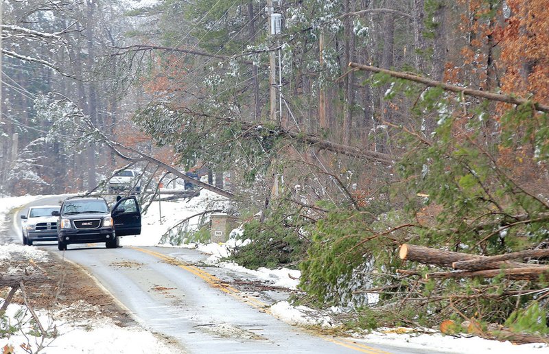 Motorists stop to view power lines damaged by fallen trees after the winter storm that hit the area on Christmas Day. After months of drought during the summer, trees became brittle, and limbs broke after ice and heavy snow fell, according to tree-removal experts.