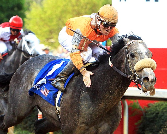 Win Willy, who won the 2011 Oaklawn Handicap with jockey Cliff Berry aboard, will make his 7-year-old debut in Friday’s Fifth Season Stakes at Oaklawn Park in Hot Springs. Win Willy won the Fifth Season in 2009, along with the Rebel Stakes. 