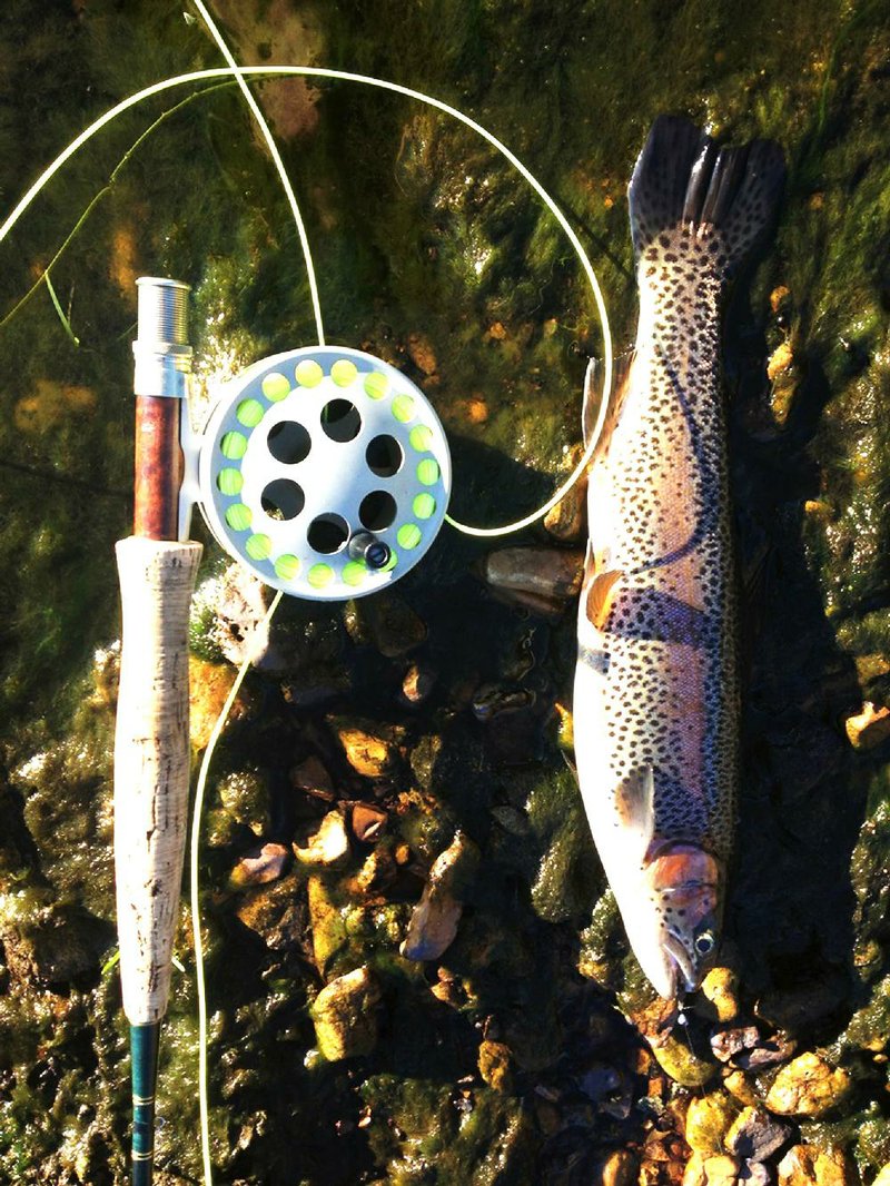 Although Rusty Pruitt caught some decent brown trout on the White River during the holidays, he and his partners mostly caught small rainbows. 