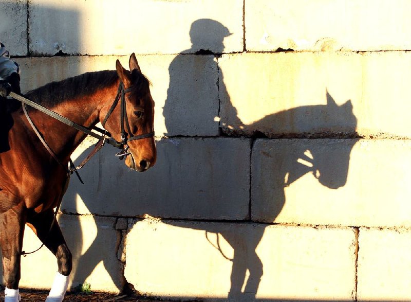 An exercise rider heads to the track at Oaklawn Park as fans and horsemen prepare for the start of the track’s 56-day live racing season today. First post for the nine race card, the track’s earliest start ever, is 1 p.m. 