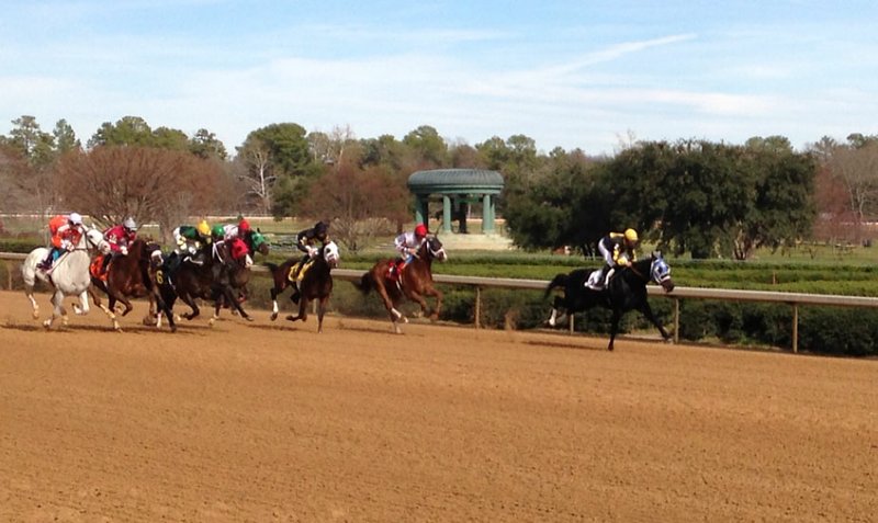 Horses sprint from the gate in the first race of 2013 at Oaklawn Park. Robby Albarado won the race aboard Congenial.