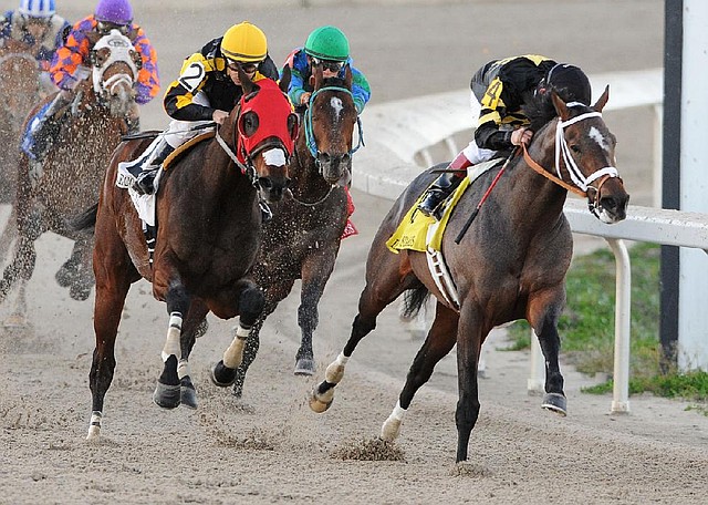 Jockey Jon Court (right), aboard Oxbow, leads the pack in the Lecomte Stakes on Jan. 19 at Fair Grounds in New Orleans. Court rode Oxbow to an 11 1/2-length victory and two days later went on to win the Smarty Jones Stakes at Oaklawn Park in Hot Springs aboard Will Take Charge. Both horses are trained by Hall of Famer D. Wayne Lukas. 