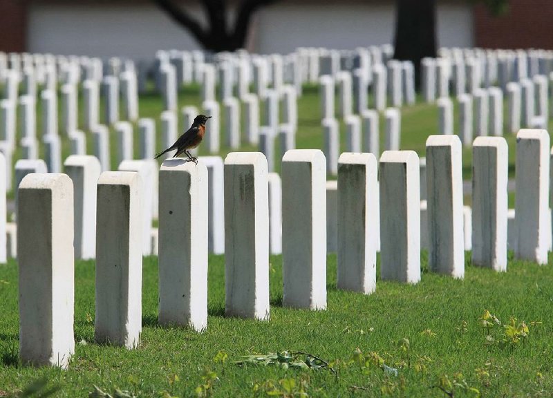  A Robin sits on the top of a headstone Monday afternoon at Little Rock National Cemetery.