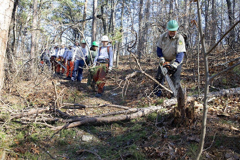 Jim Edens, right, cuts a fallen tree with a chain saw while working with an AmeriCorps team to clear the Dam Mountain Trail at Lake Catherine State Park near Hot Springs. Crews worked for several weeks to clear the park’s hiking trails after a winter storm that hit the area Christmas Day.